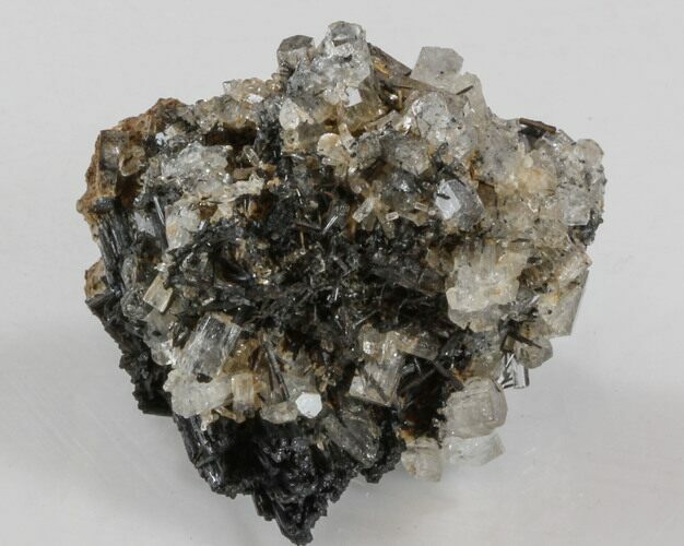 Goshenite & Schorl - Erongo Mountains #31904